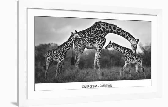 Giraffe Family-Xavier Ortega-Framed Art Print