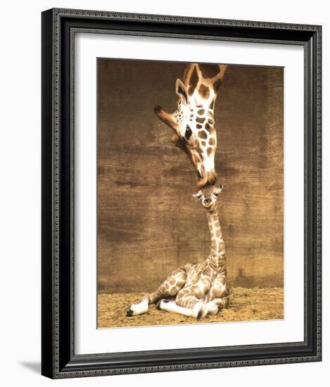 Giraffe, First Kiss-Ron D'Raine-Framed Art Print