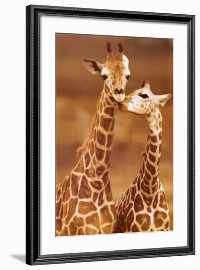 Giraffe, First Love-null-Framed Art Print
