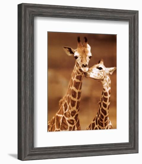 Giraffe, First Love-null-Framed Art Print