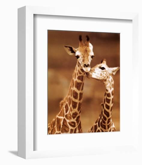 Giraffe, First Love-null-Framed Art Print