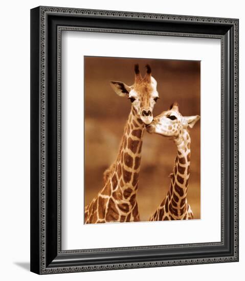 Giraffe, First Love-null-Framed Art Print