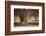 Giraffe (Giraffa camelopardalis angolensis), Kgalagadi Transfrontier Park, South Africa-David Wall-Framed Photographic Print