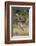 Giraffe (Giraffa camelopardalis) with small baby, Isimangaliso, KawZulu-Natal, South Africa, Africa-Ann and Steve Toon-Framed Photographic Print