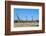 Giraffe (Giraffe camelopardalis), Kgalagadi Transfrontier Park-Ann and Steve Toon-Framed Photographic Print