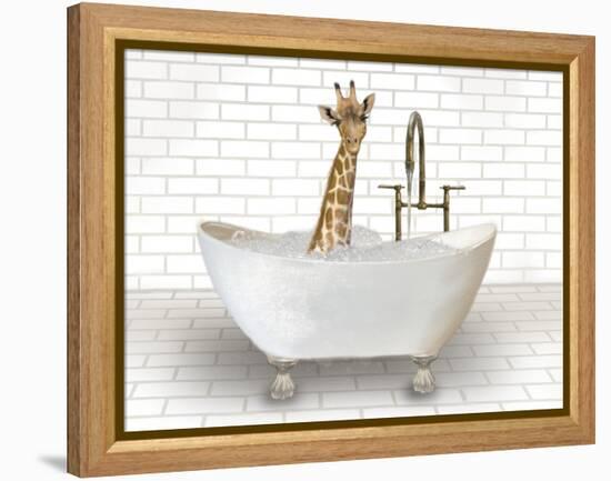 Giraffe In Bathtub-Matthew Piotrowicz-Framed Stretched Canvas