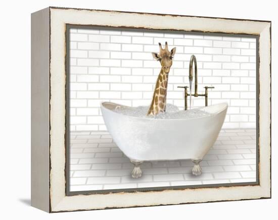 Giraffe In Bathtub-Matthew Piotrowicz-Framed Stretched Canvas