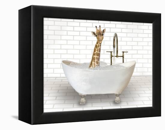 Giraffe In Bathtub-Matthew Piotrowicz-Framed Stretched Canvas