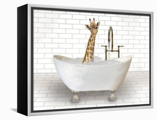 Giraffe In Bathtub-Matthew Piotrowicz-Framed Stretched Canvas
