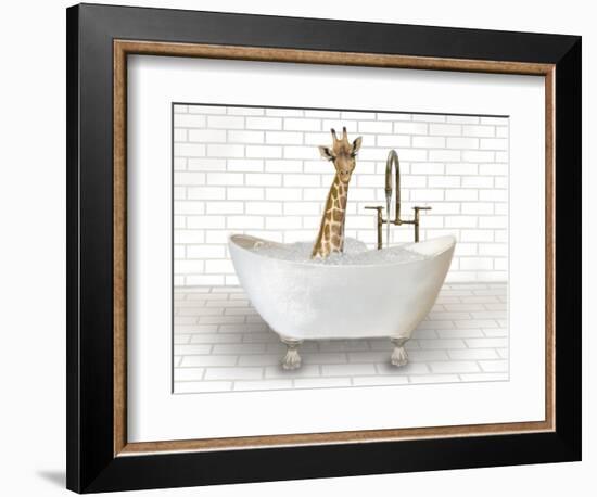 Giraffe In Bathtub-Matthew Piotrowicz-Framed Premium Giclee Print