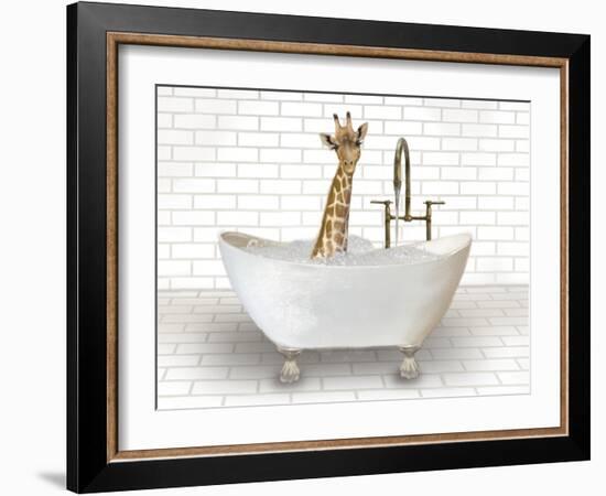 Giraffe In Bathtub-Matthew Piotrowicz-Framed Art Print