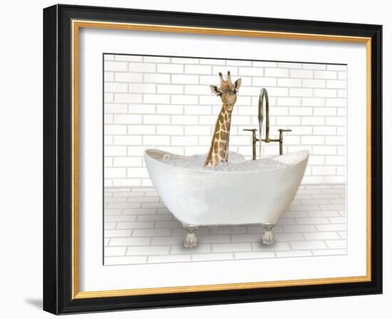 Giraffe In Bathtub-Matthew Piotrowicz-Framed Art Print