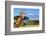 Giraffe in Front of Kilimanjaro Mountain - Amboseli National Park Kenya-Volodymyr Burdiak-Framed Photographic Print