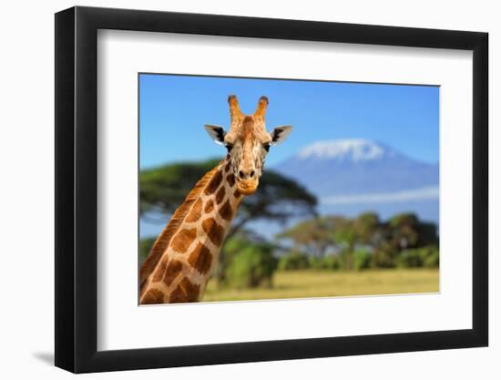Giraffe in Front of Kilimanjaro Mountain - Amboseli National Park Kenya-Volodymyr Burdiak-Framed Photographic Print
