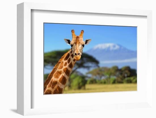 Giraffe in Front of Kilimanjaro Mountain - Amboseli National Park Kenya-Volodymyr Burdiak-Framed Photographic Print