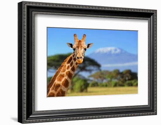 Giraffe in Front of Kilimanjaro Mountain - Amboseli National Park Kenya-Volodymyr Burdiak-Framed Photographic Print