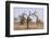 Giraffe in the Park of Koure, 60 Km East of Niamey, Niger-Godong-Framed Photographic Print