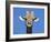 Giraffe, Kgalagadi Transfrontier Park, Northern Cape, South Africa, Africa-Toon Ann & Steve-Framed Photographic Print