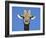 Giraffe, Kgalagadi Transfrontier Park, Northern Cape, South Africa, Africa-Toon Ann & Steve-Framed Photographic Print