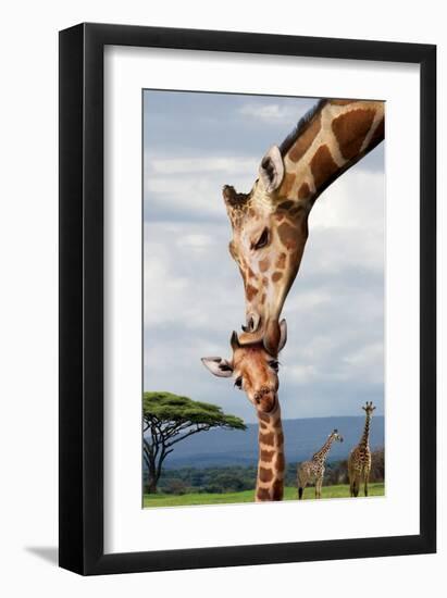 Giraffe Kissing Baby-null-Framed Art Print