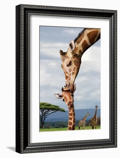 Giraffe Kissing Baby-null-Framed Art Print