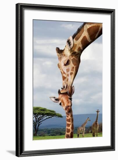 Giraffe Kissing Baby-null-Framed Art Print