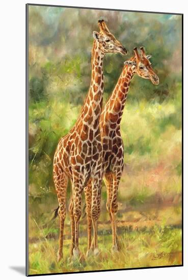 Giraffe Love-David Stribbling-Mounted Art Print