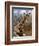 Giraffe Lying Down, Loisaba Wilderness, Laikipia Plateau, Kenya-Alison Jones-Framed Photographic Print