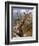 Giraffe Lying Down, Loisaba Wilderness, Laikipia Plateau, Kenya-Alison Jones-Framed Photographic Print