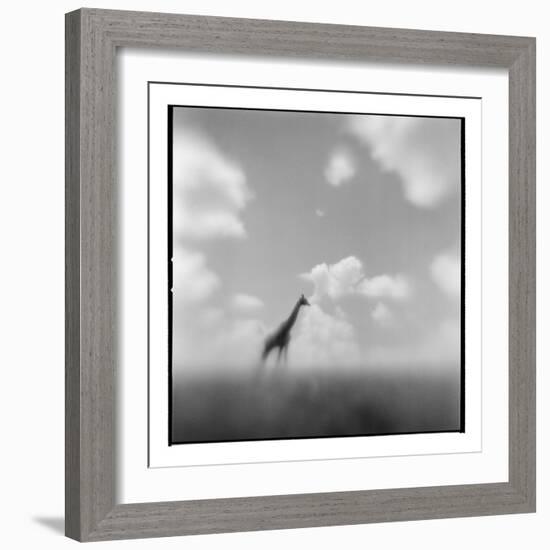 Giraffe, Masai Mara Game Reserve, Kenya-Paul Souders-Framed Photographic Print