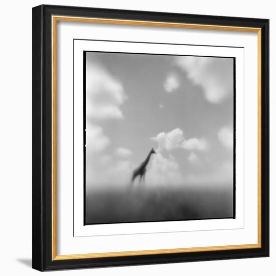 Giraffe, Masai Mara Game Reserve, Kenya-Paul Souders-Framed Photographic Print