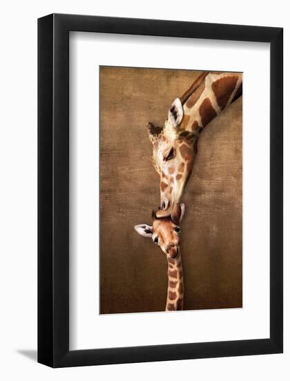 Giraffe Mother's Kiss-null-Framed Premium Giclee Print