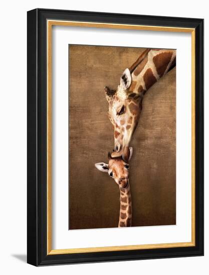 Giraffe Mother's Kiss-null-Framed Art Print