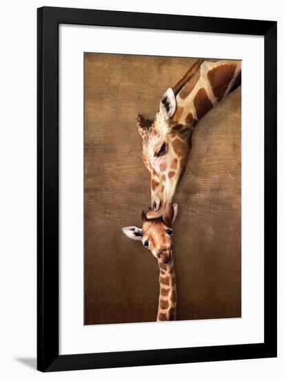 Giraffe Mother's Kiss-null-Framed Art Print