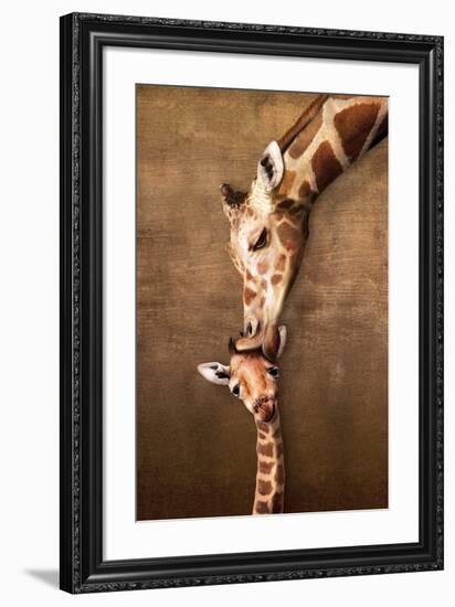 Giraffe Mother's Kiss-null-Framed Art Print