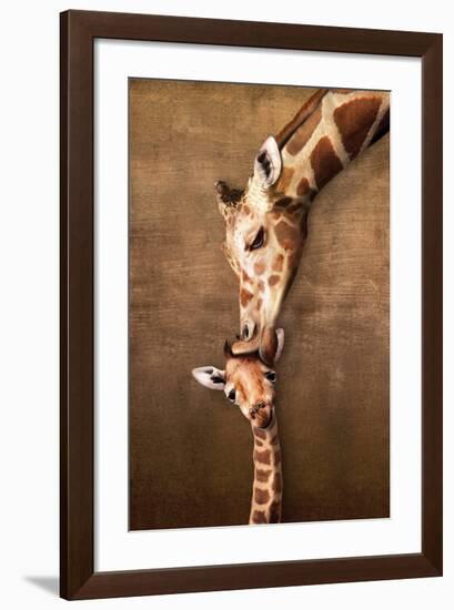 Giraffe Mother's Kiss-null-Framed Art Print