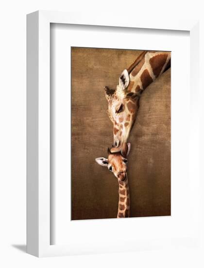 Giraffe Mother's Kiss-null-Framed Art Print