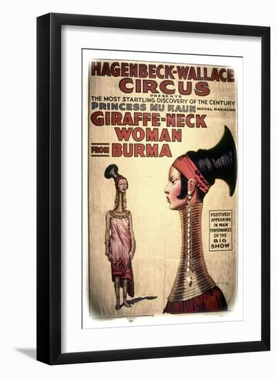 Giraffe-Neck-Vintage Apple Collection-Framed Giclee Print