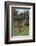 Giraffe Parent and Young-DLILLC-Framed Photographic Print