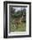 Giraffe Parent and Young-DLILLC-Framed Photographic Print