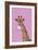 Giraffe pink bubblegum-Sarah Manovski-Framed Giclee Print