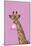 Giraffe pink bubblegum-Sarah Manovski-Mounted Giclee Print