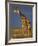 Giraffe Portrait at Sunset, Etosha Np, Nambia-Tony Heald-Framed Photographic Print