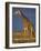 Giraffe Portrait at Sunset, Etosha Np, Nambia-Tony Heald-Framed Photographic Print