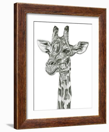 Giraffe Portrait-Lucy Francis-Framed Giclee Print