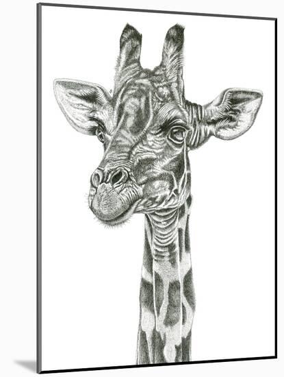 Giraffe Portrait-Lucy Francis-Mounted Giclee Print