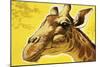 Giraffe's Head-Angus Mcbride-Mounted Giclee Print