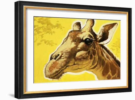 Giraffe's Head-Angus Mcbride-Framed Giclee Print