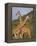 Giraffe, Sambura, Kenya, Africa-Robert Harding-Framed Premier Image Canvas