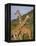 Giraffe, Sambura, Kenya, Africa-Robert Harding-Framed Premier Image Canvas